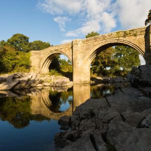 Treetops 1 Bedroom Self Catering Flat - Dog Friendly