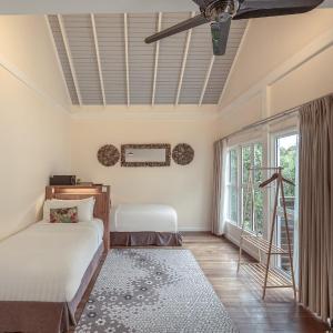 Nepenthes Suite Twin