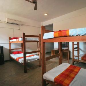 Bed in 4-Bed Mixed Dormitory Room