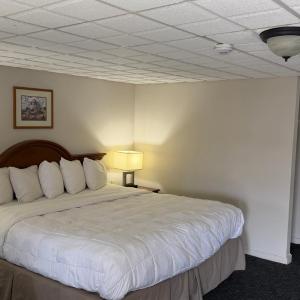 King Room - Disability Access