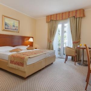 Standard Double Room with Park View