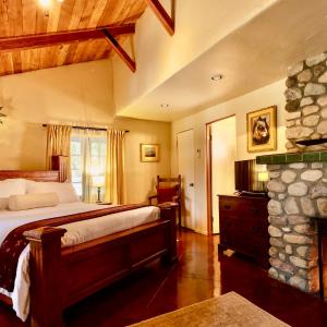 Frog Suite - King Bed