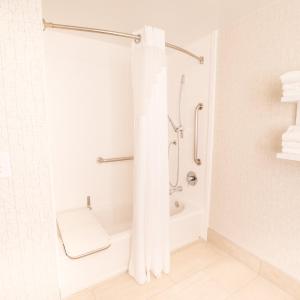 King Room - Mobility Access/Hearing Accessible