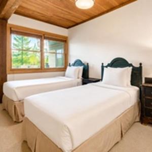 Top of the Village - Trails 209