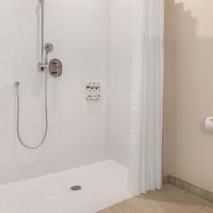King Studio - Accessible/Pet Friendly