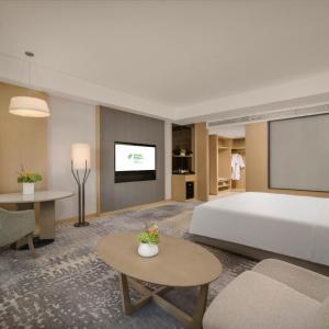 Premium King Room with City View