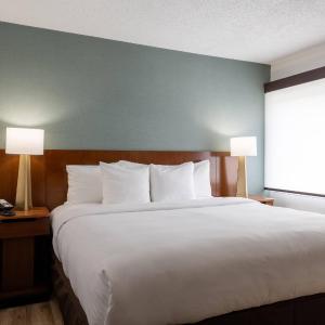 King Room - Disability Access/Non Smoking 