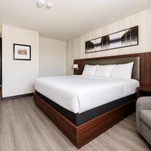 King Room - Non-Smoking