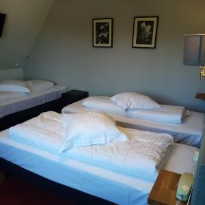 Comfort Triple Room with Shower