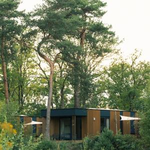 Bungalow - Water Front 