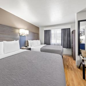 One Room Suite - Non Smoking
