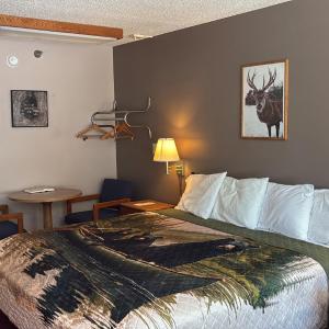 King Room - Disability Access