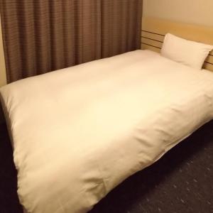 Single Room - Smoking - No Daily Cleaning