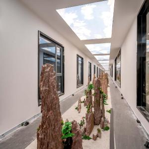 Standard King Room with Atrium View and Extra Floor Space