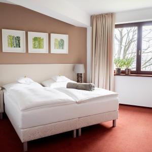 King Room - Disability Access