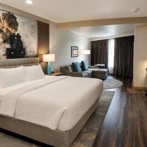 Premium King Room