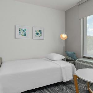 King Suite with Sofa Bed