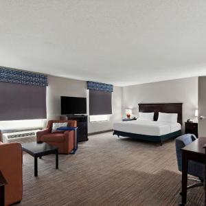 King Room with Sofa Bed and Tub - Mobility Accessible