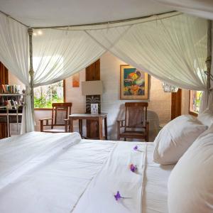 Deluxe Bungalow with Pool View. 
