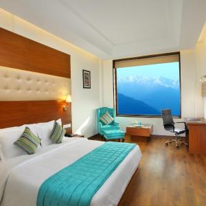 Superior Double or Twin Room with City View