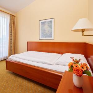Comfort Single Room