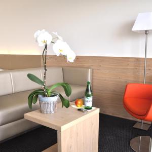 Junior Suite with Lake View