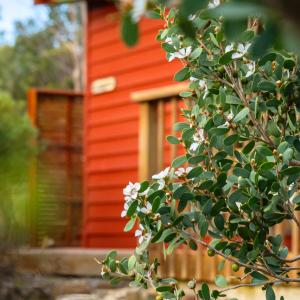 Sand Piper Studio 