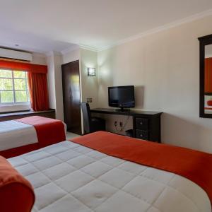 Standard Twin Room - Dog Friendly