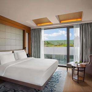 Superior King Room with Garden View
