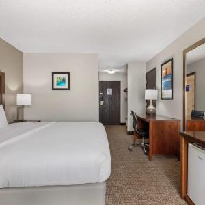 King Room - Accessible/Non-Smoking