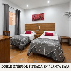 Double Room with Two Double Beds