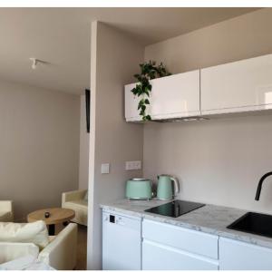 Two-Bedroom Apartment with Balcony