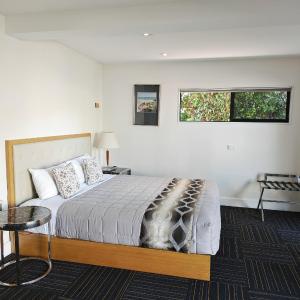 Deluxe One-Bedroom Apartment