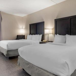 Standard Queen Room with Two Queen Beds - Non-Smoking