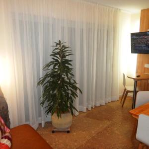 One-Bedroom Apartment - Non-Smoking