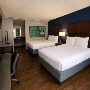 Standard Queen Room with Two Queen Beds