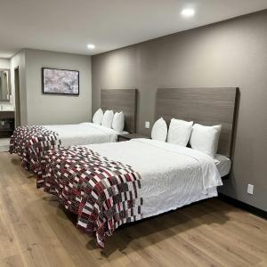 Deluxe Room with 2 Queen Beds Disability Access Non-Smoking