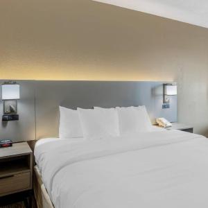 King Room - Non-Smoking