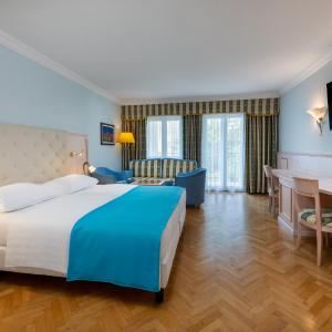 Premium Double Room with Park View