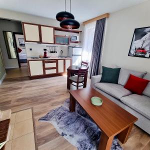 One-Bedroom Apartment with Fireplace - Pet Friendly