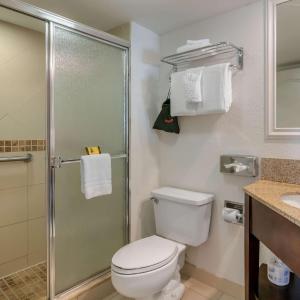 King Suite with Sofa Bed, Fireplace, Kitchen and Shower - Non-Smoking