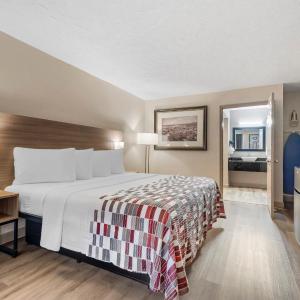 Superior King Room Disability Access Roll-In Shower Non-Smoking