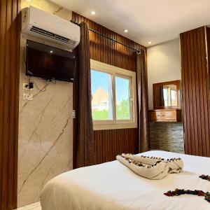 Double Room with Pyramids View