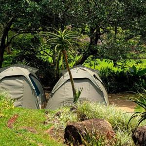 Tent