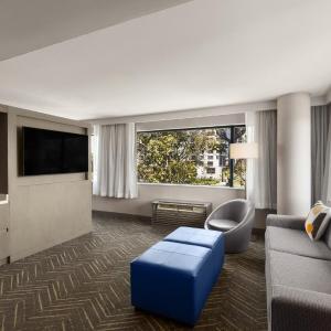 One-Bedroom King Suite with Lake View