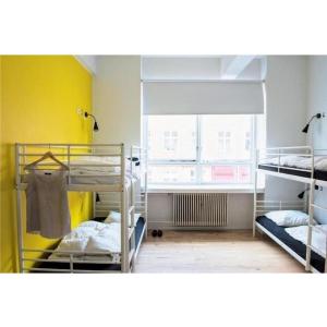 Bed in 4-Bed Mixed Dormitory Room