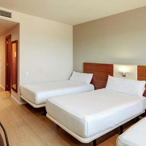 Room with Extra Bed