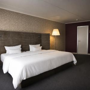Premium King Room