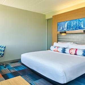 Ground Floor King Room