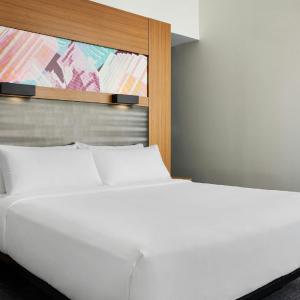 King Room with Roll-In Shower - Mobility Access/Hearing Accessible